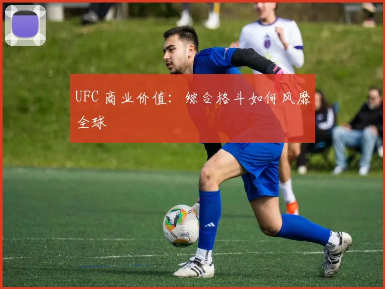 UFC 商业价值:综合格斗如何风靡全球