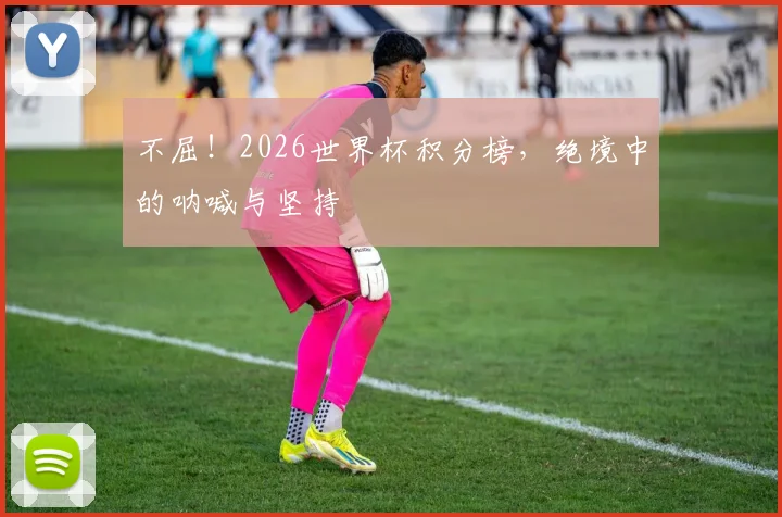 不屈!2026世界杯积分榜,绝境中的呐喊与坚持