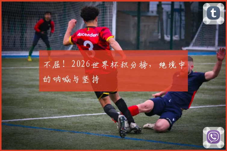 不屈！2026世界杯积分榜，绝境中的呐喊与坚持